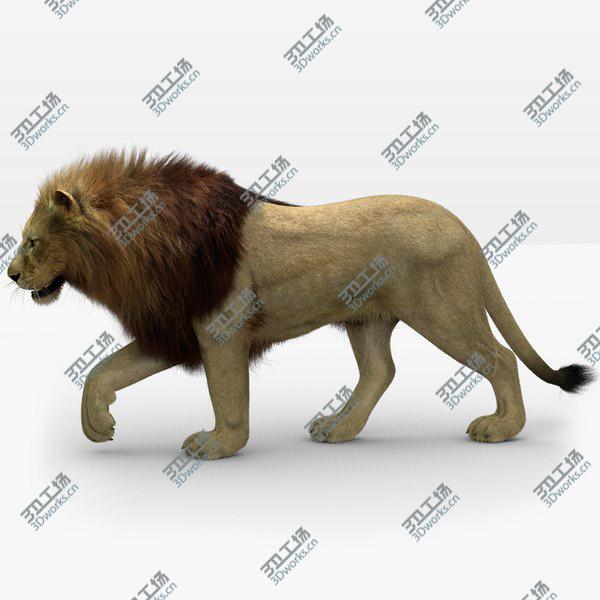 images/goods_img/20210312/Lion 3 (Fur) Animated 3D/1.jpg